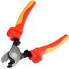 403ff5d9-1547-4179-b381-610e55cddaae-original