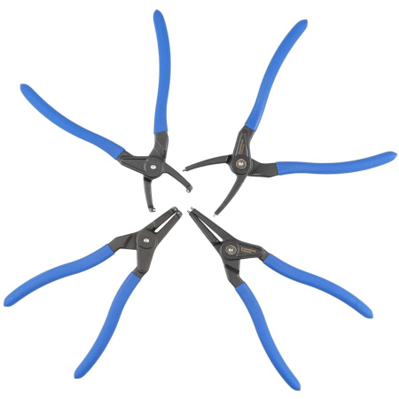 6cc8a7bf-28d4-47e6-a8c9-efafd246b3c4-original